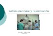 Asfixia neonatal y reanimación Myriam maturana matrona