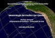 Meteorología del Pacifico Sur Oriental René D. Garreaud Departamento de Geofísica – Universidad de Chile  SENAMHI – Perú Curso de