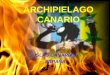 ARCHIPIELAGO CANARIO ISLAS CANARIAS ESPAÑA FUERTEVENTURA
