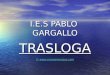 I.E.S PABLO GARGALLO TRASLOGA ©  © 