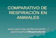 COMPARATIVO DE RESPIRACIÓN EN ANIMALES  /Clase%20Respiratorio