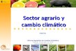 1 Oficina Española de Cambio Climático Madrid, 24 de abril de 2015 mjamoya@magrama.es Sector agrario y cambio climático ENESA