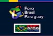 El FORO BRASIL, fue fundado en junio del 2001, como una iniciativa de un grupo de empresarios brasileros residentes en el país. En setiembre de 2012,