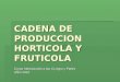 CADENA DE PRODUCCION HORTICOLA Y FRUTICOLA Curso Introducción a las Cs Agrs y Ftales AÑO 2010