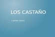 LOS CASTAÑO Logotipo- Isotipo. UN COMPROMISO CON LA CALIDAD DESDE 1933. La herencia de nuestra compañía es su larga tradición panadera, iniciada en el