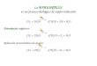 La FOTOSINTESIS es un proceso biológico de oxido-reducción CO 2 + 2H 2 A (CH 2 O) + 2A + H 2 O Fotosíntesis oxigénica: CO 2 + 2H 2 O (CH 2 O) + O 2 + H