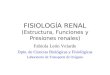 FISIOLOGÍA RENAL (Estructura, Funciones y Presiones renales) Fabiola León Velarde Dpto. de Ciencias Biológicas y Fisiológicas Laboratorio de Transporte