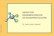 Dr. Juan Carlos Giménez ASPECTOS RADIOBIOLÓGICOS EN RADIOPROTECCIÓN Diseño: Stella Spurio 1