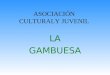 ASOCIACIÓN CULTURALY JUVENIL LA GAMBUESA HISTORIA DE LA GAMBUESA La Asociación Juvenil y Cultural de Estudiantes Majoreros la Gambuesa, un año más se