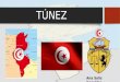 TÚNEZ Ana Solis González. DATOS GENERALES:  Nombre oficial: República de Túnez  Capital: Túnez  Superficie: 164,150 km²  Población: 10,886,000 hab