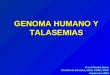 GENOMA HUMANO Y TALASEMIAS M en C Bertha Ibarra División de Genética, CIBO, CMNO, IMSS Septiembre 2004