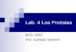 Lab. 4 Los Protistas BIOL 3052 Inst. Suheidy Valentín