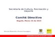 Secretaría de Cultura, Recreación y Deporte Comité Directivo Bogotá, Marzo 23 de 2010 Dirección Planeación y Procesos Estratégicos