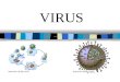 VIRUS. 2 ¿Qué son? Un virus es básicamente una pequeña cantidad de material genético dentro de una cubierta. Necesitan un huésped para replicarse por