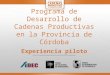 Programa de Desarrollo de Cadenas Productivas en la Provincia de Córdoba Experiencia piloto