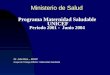 Programa Maternidad Saludable UNICEF Periodo 2001 - Junio 2004 Ministerio de Salud Grupo de Trabajo MINSA : Maternidad saludable Dr. Julio Rios – DGSP