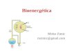 Bioenergética Mirko Zimic mzimic@gmail.com. Qué es la Bioenergética? Es la disciplina que estudia los aspectos energéticos en los sistemas vivos, tanto
