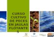 CURSO CULTIVO DE PECES EN JAULAS FLOTANTES. EL CULTIVO DE PECES La acuicultura tiene una historia de 4000 años, pero ha sido desde hace 50 años cuando