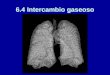 6.4 Intercambio gaseoso. El sistema respiratorio: visión general Nuestros pulmones actúan coordinadamente con el corazón y los vasos sanguíneos para asegurar