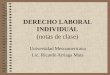 DERECHO LABORAL INDIVIDUAL (notas de clase) Universidad Mesoamericana Lic. Ricardo Arriaga Mata