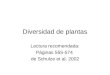 Diversidad de plantas Lectura recomendada: Páginas 555-574 de Schulze et al. 2002