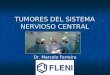TUMORES DEL SISTEMA NERVIOSO CENTRAL Dr. Marcelo Ferreira
