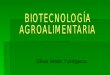 Elisa Mota Turégano.  INDICE:  Introducción  Áreas dentro de la biotecnología:  1. Biotecnología industrial  2. Biotecnología aplicada a la salud