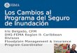 Iris Delgado, CFM DHS-FEMA Region II- Caribbean Division Floodplain Management & Insurance Program Coordinator Los Cambios al Programa del Seguro de Inundación
