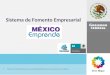 Todo un Movimiento para la Competitividad de las Empresas en México Sistema de Fomento Empresarial