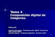1 Tema 4 Composición digital de imágenes. Bibliografía José Luis Fernandez. “Postproducción digital”. Escuela de cine y vídeo 1999. Gonzalo Pajares. “Imágenes