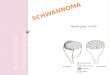 Vanessa Gómez 10-1009. Células de Schwann Las células de Schawnn se originan de la cresta neural y acompañan a los axones durante su crecimiento, formando