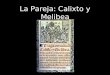 La Pareja: Calixto y Melibea. Diferentes Portadas