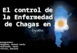 El control de la Enfermedad de Chagas en Integrantes: Bugnone, Daiana Carla Gallardo, Tania Tissot, Mariana