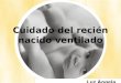Cuidado del recién nacido ventilado Luz Ángela Mahecha H