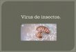 Virus de insectos..  Así como el hombre, los insectos también son atacados por enfermedades que les pueden causar la muerte. Los agentes responsables