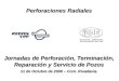 Perforaciones Radiales Jornadas de Perforación, Terminación, Reparación y Servicio de Pozos 11 de Octubre de 2006 – Com. Rivadavia
