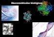 Macromoléculas biológicas.. Procedencia Precursores más sencillos Básicamente CO2 H2O N2 Moléculas de H20