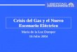 Crisis del Gas y el Nuevo Escenario Eléctrico María de la Luz Domper 16 Julio 2004