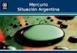 Mercurio Situación Argentina. Fuentes y circulación del mercurio en el ambiente Las liberaciones de mercurio en la biosfera pueden agruparse en cuatro