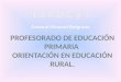 LOGROS  Implementación de la carrera: Profesorado de Educación Primaria Orientación en Educación Rural