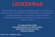 LEUCEMIA DR. L. BUTANDA F. LEUCEMIAS CUADRO CLÍNICO: HEPATOMEGALIA ESPLENOMEGALIA ADENOMEGALIAS DOLORES OSEOS PÉRDIDA DE PESO PÚRPURA EPISTAXIS FIEBRE