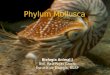Phylum Mollusca Biología Animal I Biól. Raúl Rojas García Escuela de Biología, BUAP