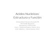 Acidos Nucleicos: Estructura y Función Universidad Interamericanade PR Recintode Bayamón Bioquímica, CHEM 4220 Prof. J. Roberto Ramirez Vivoni, Ph.D. Prof