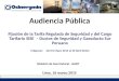 Audiencia Pública Fijación de la Tarifa Regulada de Seguridad y del Cargo Tarifario SISE – Ductos de Seguridad y Gasoducto Sur Peruano (Vigencia: Del 01