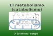 El metabolismo (catabolismo) 2º Bachillerato - Biología