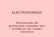 ELECTROFORESIS Movimiento de partículas cargadas por acción de un campo eléctrico