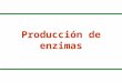 Producción de enzimas. Producción de Enzimas  Un preparado enzimático comercial contiene: –Enzima de interés –Otras proteínas (contaminantes) –Excipientes