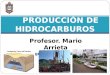 Profesor. Mario Arrieta Ingeniero de Petróleo PRODUCCIÓN DE HIDROCARBUROS