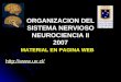 ORGANIZACION DEL SISTEMA NERVIOSO NEUROCIENCIA II 2007  MATERIAL EN PAGINA WEB