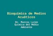 Bioquímica de Medios Acuáticos Dr. Marcos Luján Química del Medio Ambiente